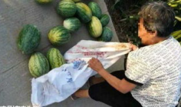 射阳吃瓜最新事件爆料,揭秘背后惊人真相